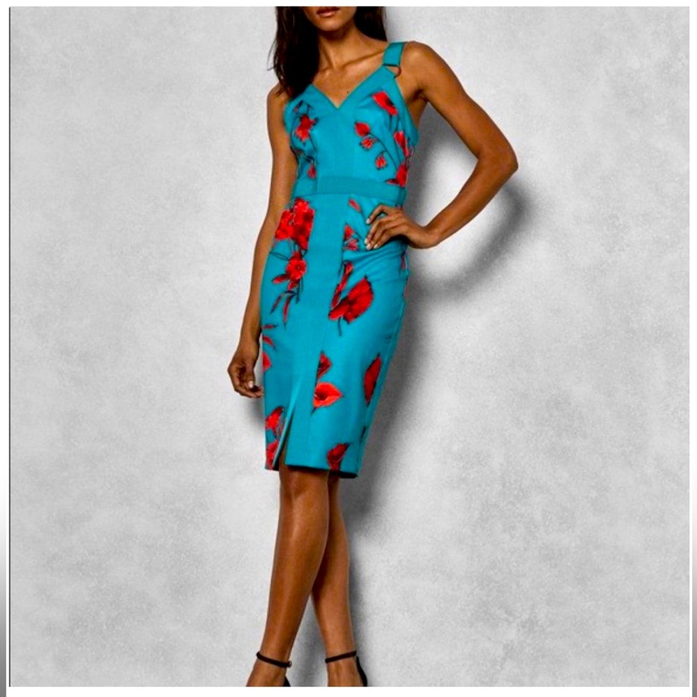 TED BAKER👗 Gorgeous Floral Print Midi Length Dress, Size XS Very good condition